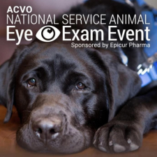 Annual ACVO National Service Animal Eye Exam Event